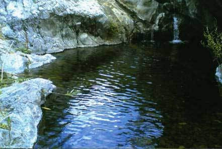 R3162982 01