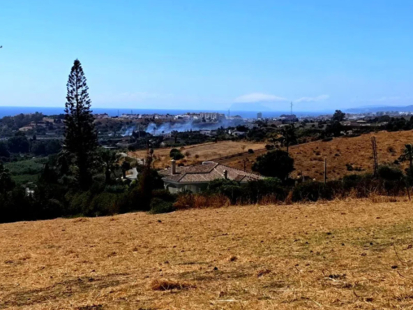 NC 0037 00653 01