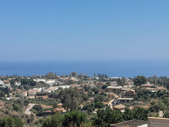 R5294101 01