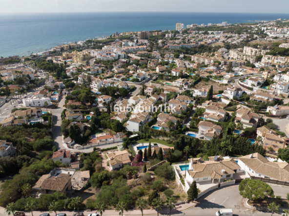 STRAND6042 01