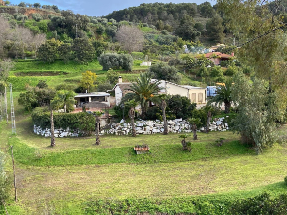 R5162245 01