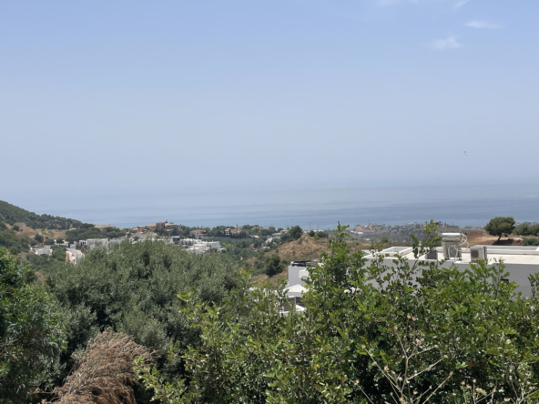 R5338921 01