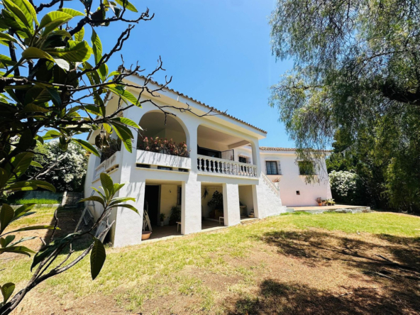 R5346616 01