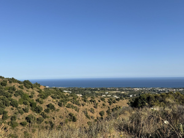 R5376877 01