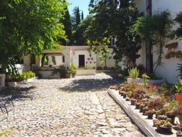 R5413441 01