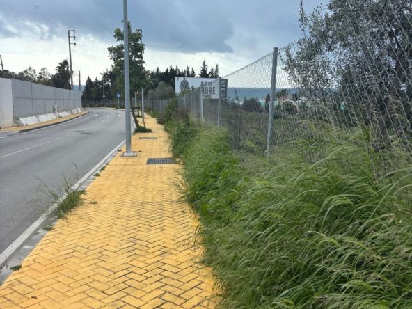R5316016 01