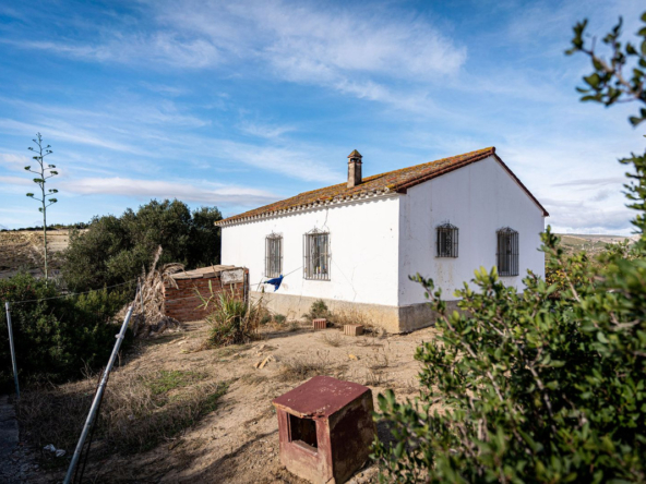 Manilva011 01