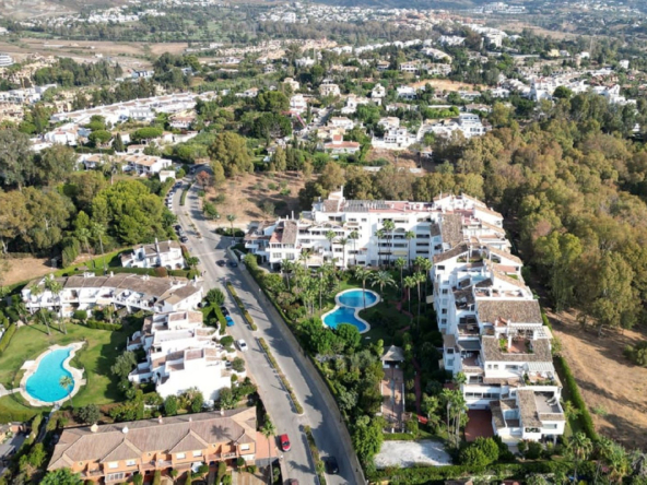 MEX1096 01