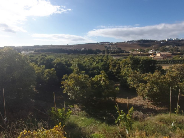 R5472340 01