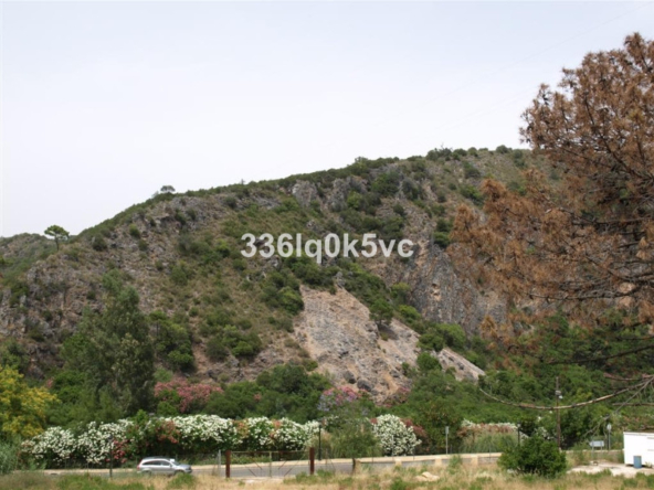 R3736078 01