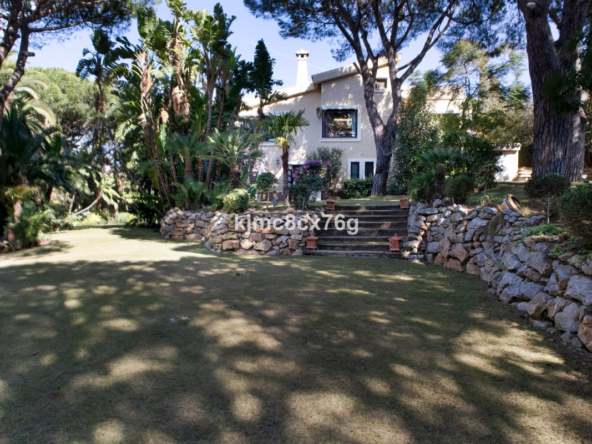 R3985696 01