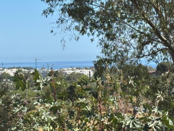 R5371531 01