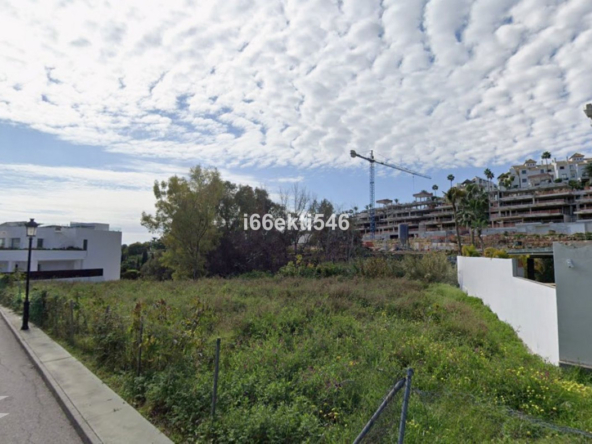 R5524912 01